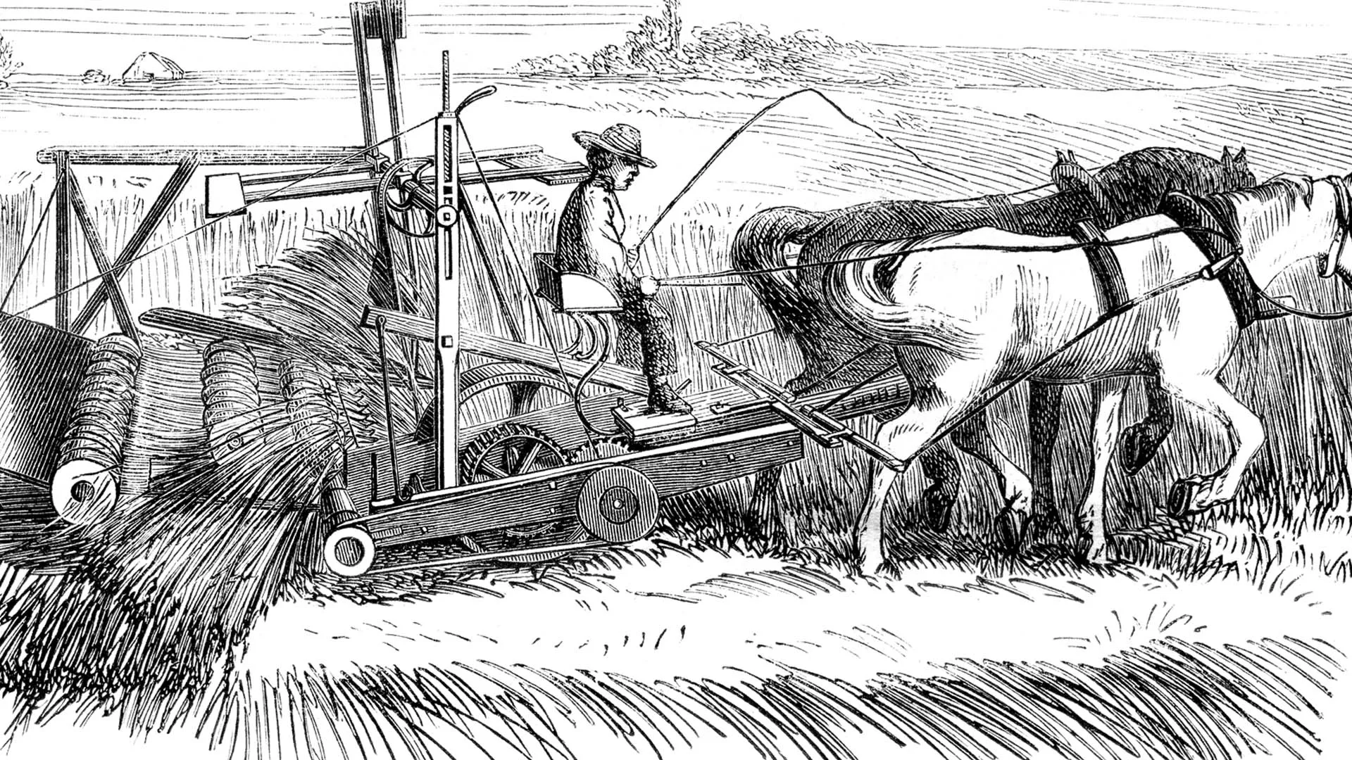 Cyrus McCormick Harvester