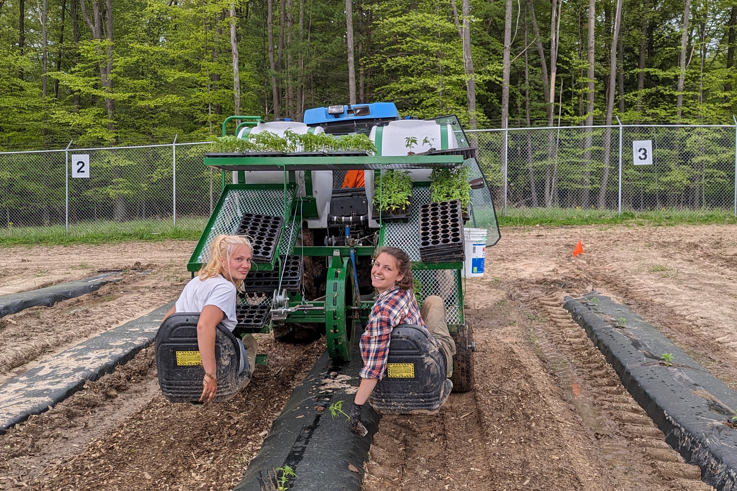 Cannabis Cultivation Technology