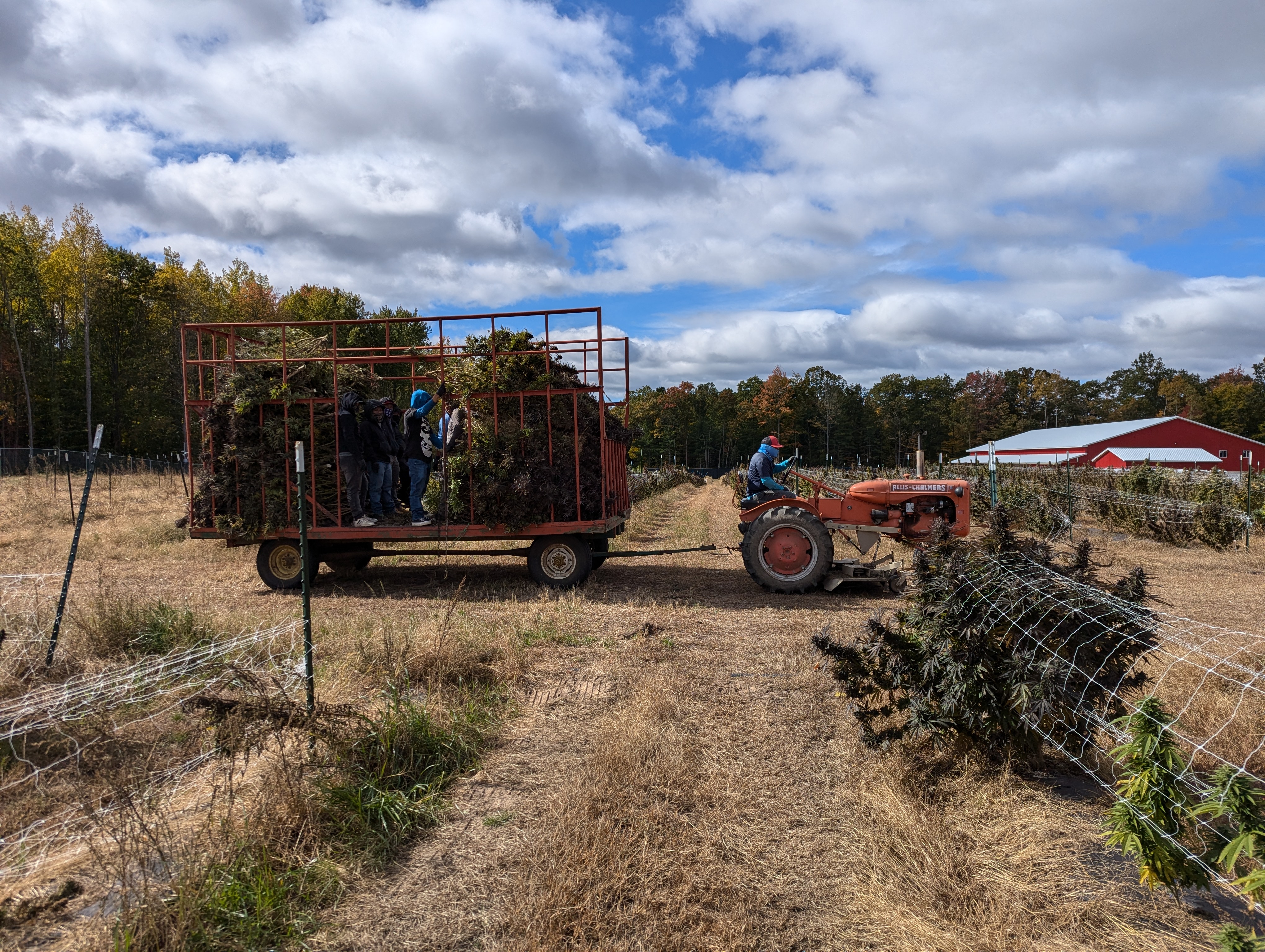 Mechanized Cannabis Cultivation - weed-wagon.jpg